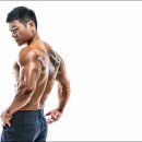 바디스튜디오라라
