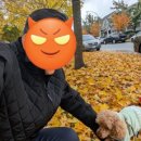 라온이네 이미지