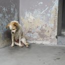 순풍농장 이미지