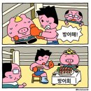 효창복싱 이미지