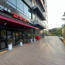 꼬꼬순이 초롱꽃점 이미지