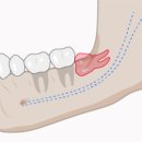샤인이치과의원 이미지