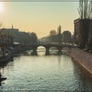 바이오크리닝 이미지