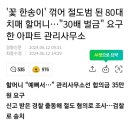 본인 거주 아파트 꽃 한송이 꺾어 절도범된 90대 할머니 이미지