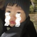 [옥정]꿀피부를 위한 천연 스킨케어 | 보습 크림 추천 아이 피부를 위한 아토팜 MLE 크림 후기