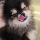 더왈츠앤조이피아 이미지