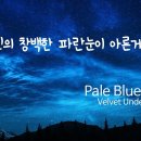 Pale blue eyes(Velvet Underground) 이미지