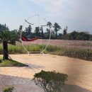 비자림빌리지 이미지