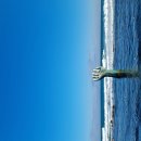 동해 해돋이 명소 호미곶 이미지