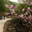 마차산입구 이미지