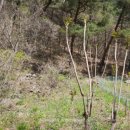 방동농장 이미지