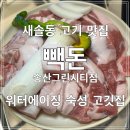 [화성] 새솔동 고기집 빽돈 송산그린시티점 워터에이징 고기 맛집 솔직 후기