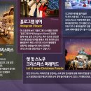일등여행사 이미지