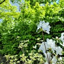 서울식물원 이미지