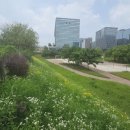 테크노밸리소공원 이미지