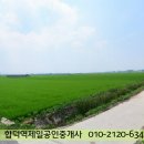 성원리 이미지