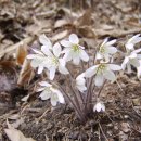 피재골약수터 이미지