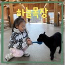 하늘목장 | 아이랑 대관령 하늘목장 솔직후기, 전기차 충전