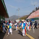 원동 매화축제 다녀왔어요 이미지