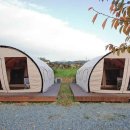 텐타우스 이미지