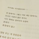 나나비펫 | 어떤 슬픔도 느껴지지 않아, 저 나비 수집가들의 왕과 여왕을 향해선 말이야