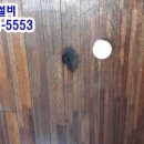 경기도 수원시 권선구 구운중로31번길 23 네이버블로그