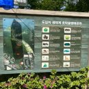 초막골생태공원 | 🌸 따스한 봄날을 물들이는 분홍빛 산책 – 군포 철쭉축제 &amp; 초막골 생태공원 나들이 후기🌿