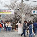 여좌천로 이미지