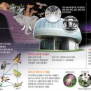 볼트 (vault)
