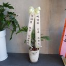 비에이치씨태장점