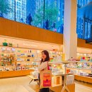 미술관 어디까지 가봤니?세계미술관투어 | 미국 뉴욕여행 모마 미술관 입장권 도슨트 투어 뉴욕 쇼핑 후기