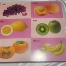 뽀롱뽀롱 뽀로로 유아백과 추천 우리아이 첫 백과 그림책 사용후기