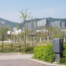 프라자파크 이미지