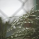 재단법인한국SGI 이미지