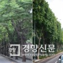 노원로(남측) 이미지