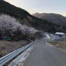경상남도 창녕군 캠핑홀릭 수영장 오토캠핑장, 가격, 주차, 후기