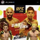 UFC256 피게레도vs모레노 퍼거슨vs올리베이라 이미지