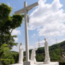 죽전유아숲체험원 쿠키뉴스