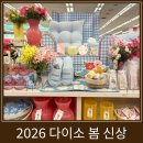 개단장 | 2026 다이소 봄 신상 봄꽃부터 봄맞이 집단장 시리즈 구경하기