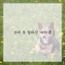 신세계한의원 이미지