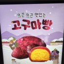 메가커피 신상 고구마빵 솔직 후기! 쫀득쫀득 떡이야 빵이야?가성비 솔직히 알려드려요!