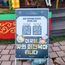 달리애견 | 2025 함평 겨울빛 축제 애견동반 12월 전남 축제 다녀온 후기