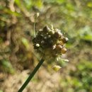 남조봉공원 이미지