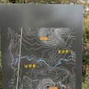 노루숲 | 추천 : 제주도 숨은 힐링 명소 : 람사르습지 물영아리오름 직접 다녀온 후기 (노루 출몰·치유의 숲길)