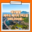 동양관광여행사 - 군산시 | 대구_제주도_1박2일 #관광패키지 #조석 / 제주도 1박2일 패키지 여행 여행사 / 대구공항