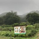 우보주유소 이미지
