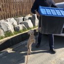 더행복해짐 이미지