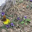 버들골농장 이미지