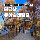 문화안길 | 남양주 숲놀이터 추천 황금산 문화공원 유아숲 체험원