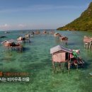 (주)바다를품다 네이버블로그